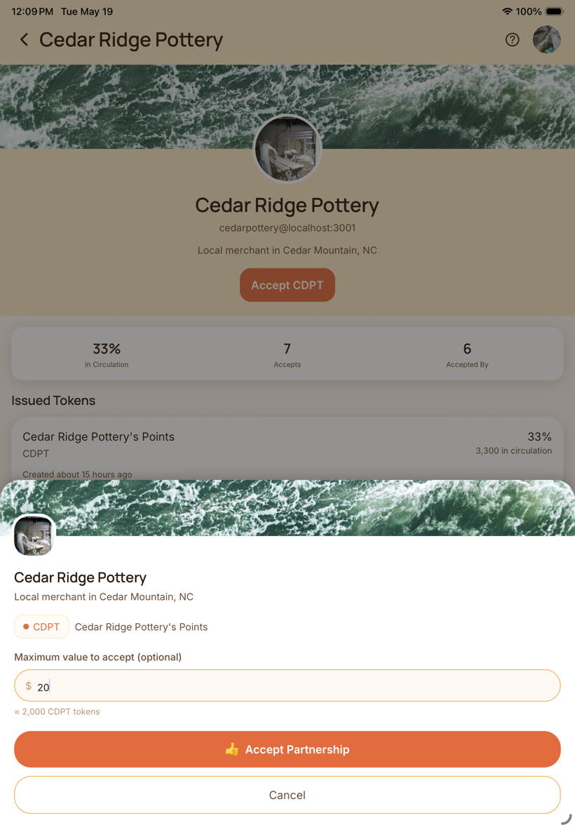 Partnership acceptance screen confirming a new merchant token relationship with a spending cap